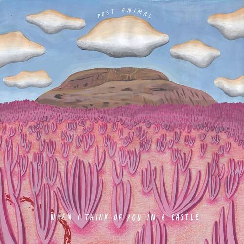 Post Animal - When I Think Of You In A Castle   - COMPACT DISCS [CD] price history on PriceWatchPro