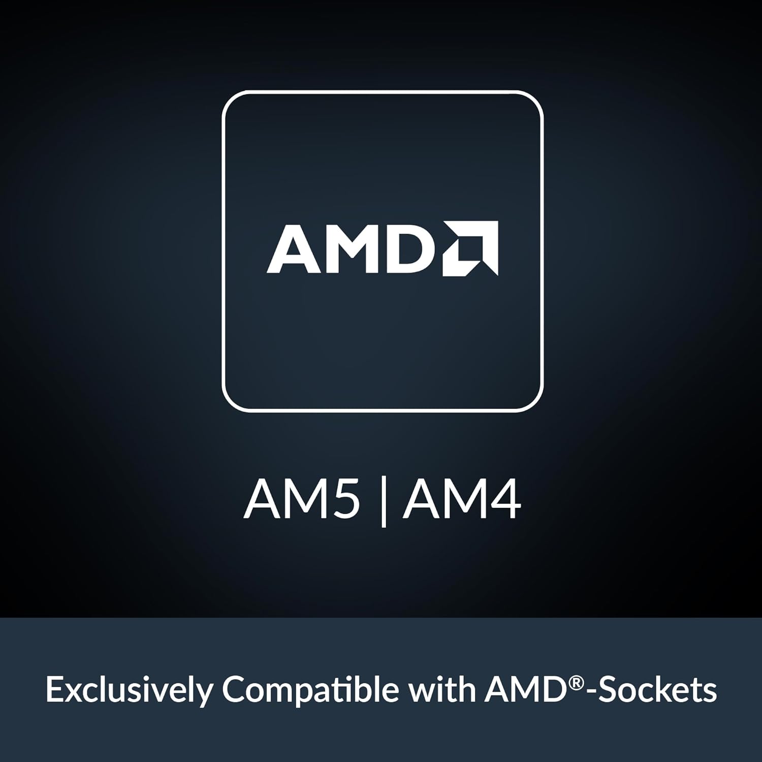 AMD AM5 | AM4  
Exclusively Compatible with AMD®-Sockets
