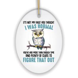 OrnamentallyYou - You Thought I was Normal Quirky Owl Ornament Cute and Funny Christmas Gift - Multi-colored