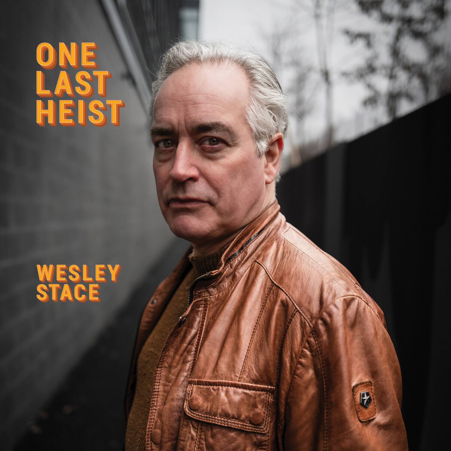Wesley Stace One Last Heist VINYL LP - Best Buy