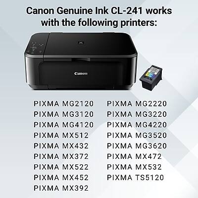 Canon Genuine Ink CL-241 works with the following printers:

Canon
PIXMA MG2120
PIXMA MG2220
PIXMA MG3120
PIXMA MG3220
PIXMA MG4120
PIXMA MG4220
PIXMA MX512
PIXMA MG3520
PIXMA MX432
PIXMA MX372
PIXMA MX472
PIXMA MX522
PIXMA MX532
PIXMA MX452
PIXMA TS5120
PIXMA MX392