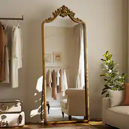 Easly - Antique 28 in. W x 69 in. H Arched PU Frame Ornate Carved Decoration Full Length Floor Mirror - Gold