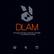 DLAM
first plug-and-play computer controller
— no software to install