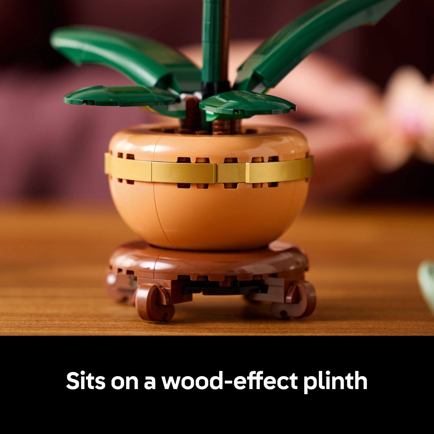 Sits on a wood-effect plinth.