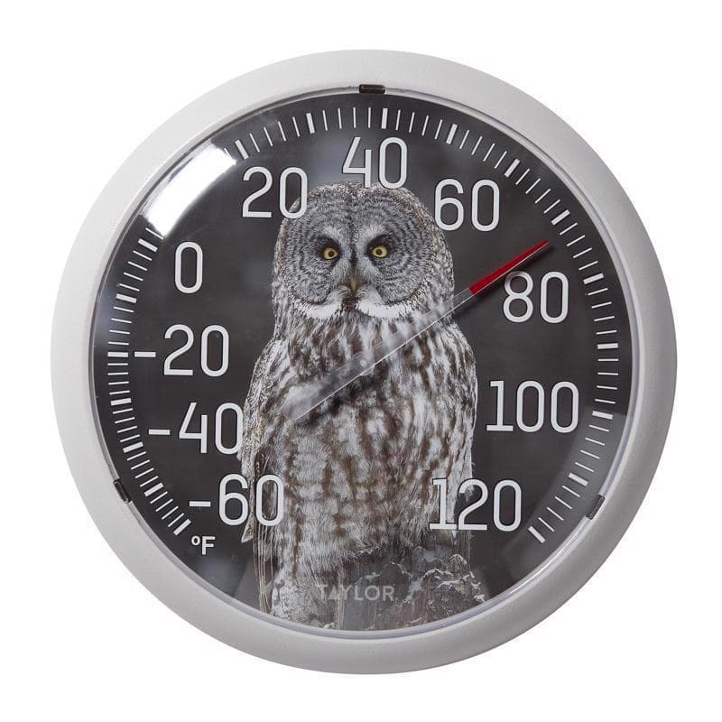 Taylor Owl Dial Thermometer Plastic Multicolored 13.25 in. Case of