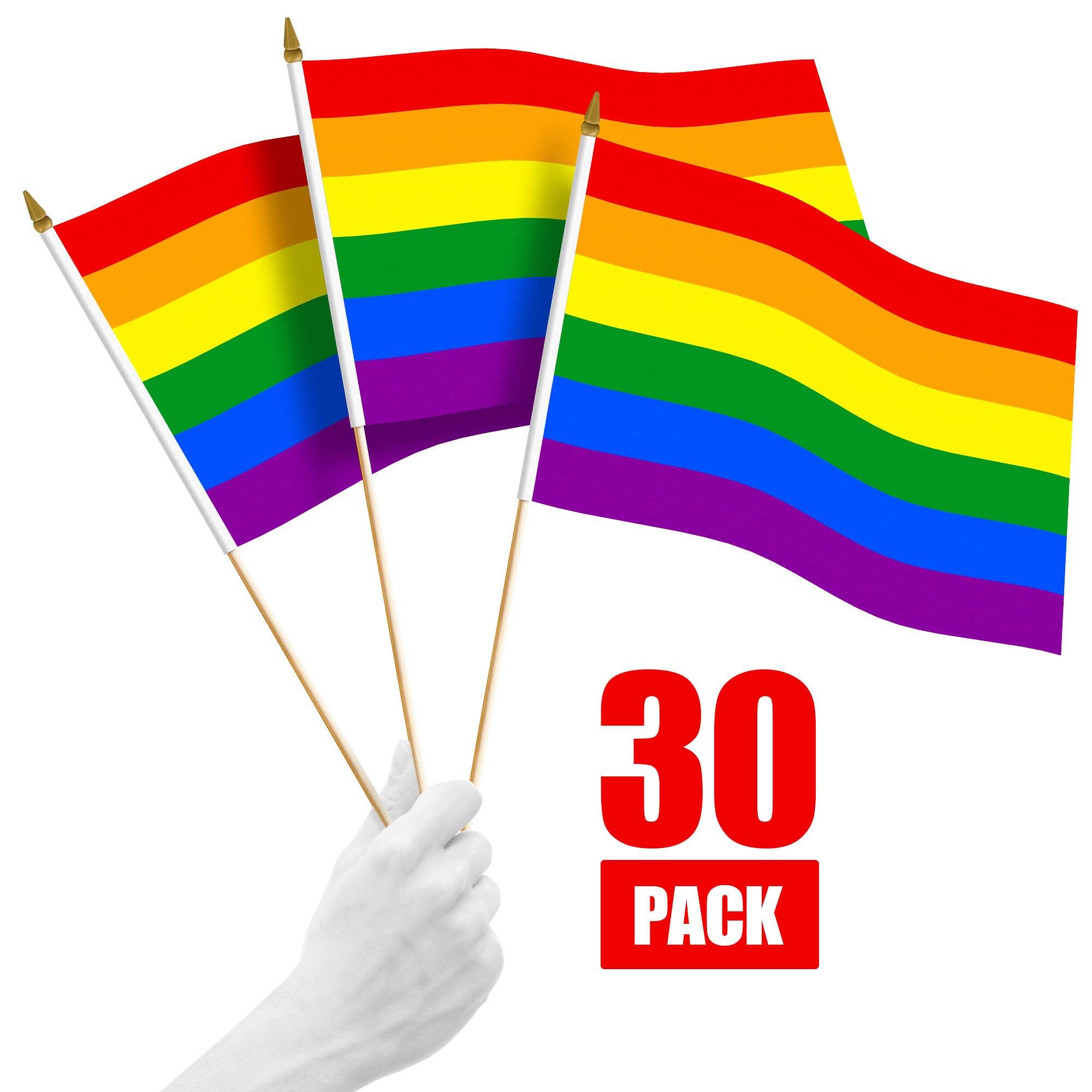 G128 - 30-Pack Handheld Rainbow Pride Stick Flags 12 x 18 in - Assorted Colors