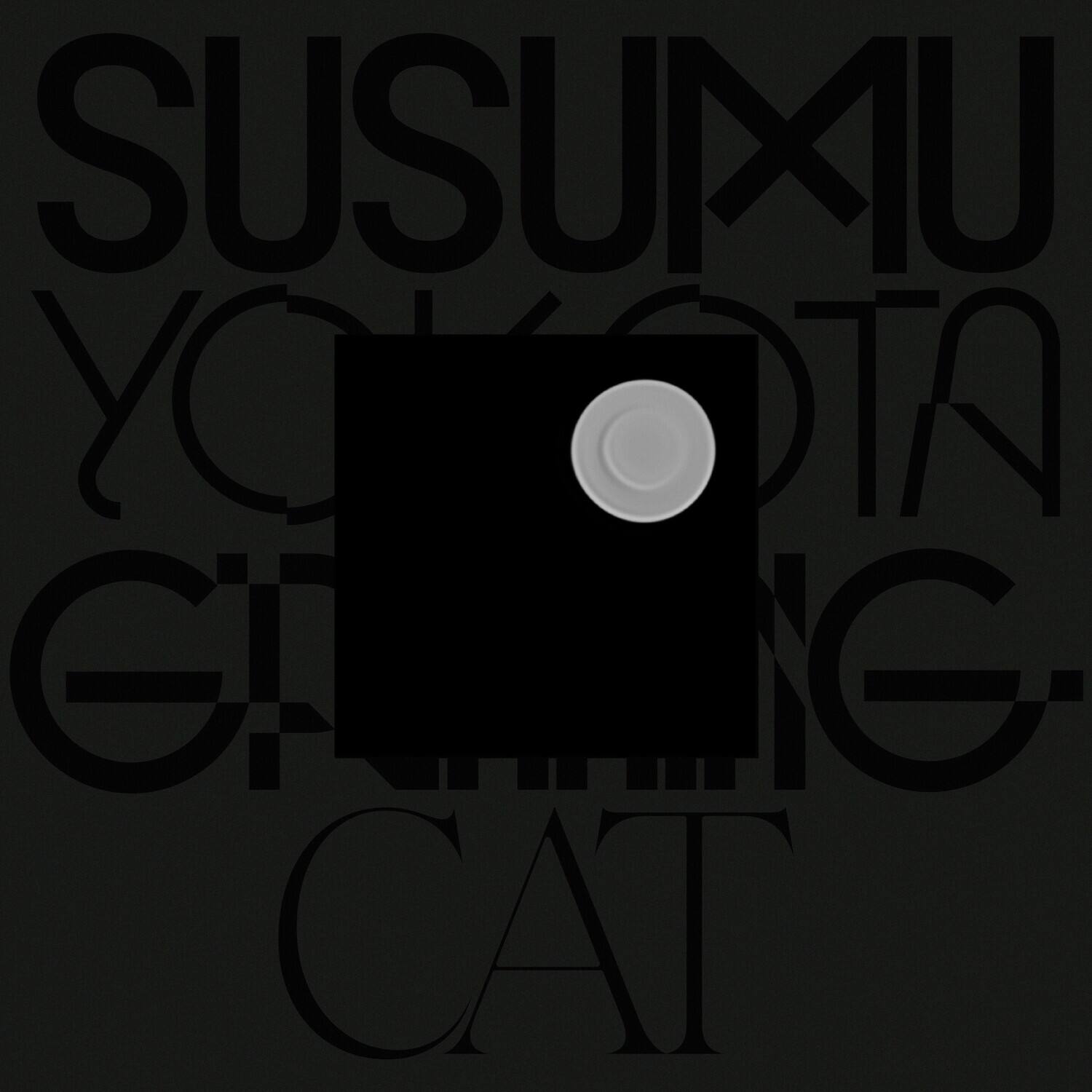 Susumu Yokota - Grinning Cat (skintone Edition)   - COMPACT DISCS [CD] price history on PriceWatchPro
