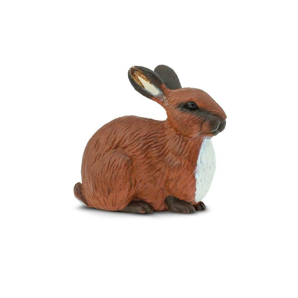 Front. Safari Ltd. - Rabbit.