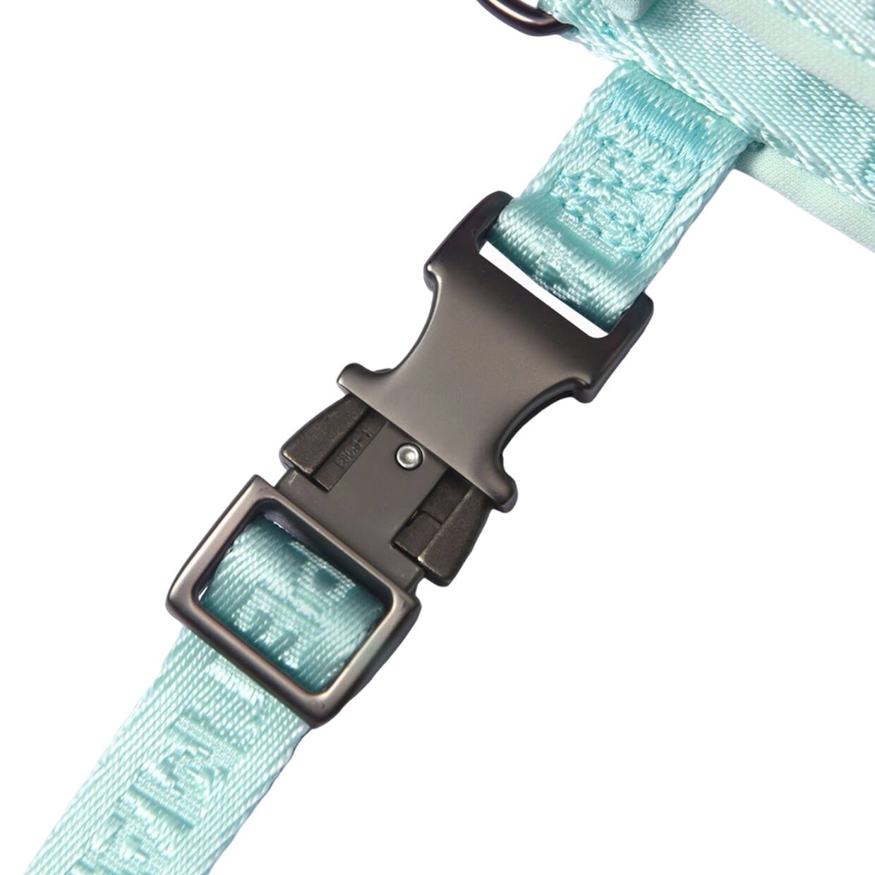 The text on the image reads: "PETIMA"