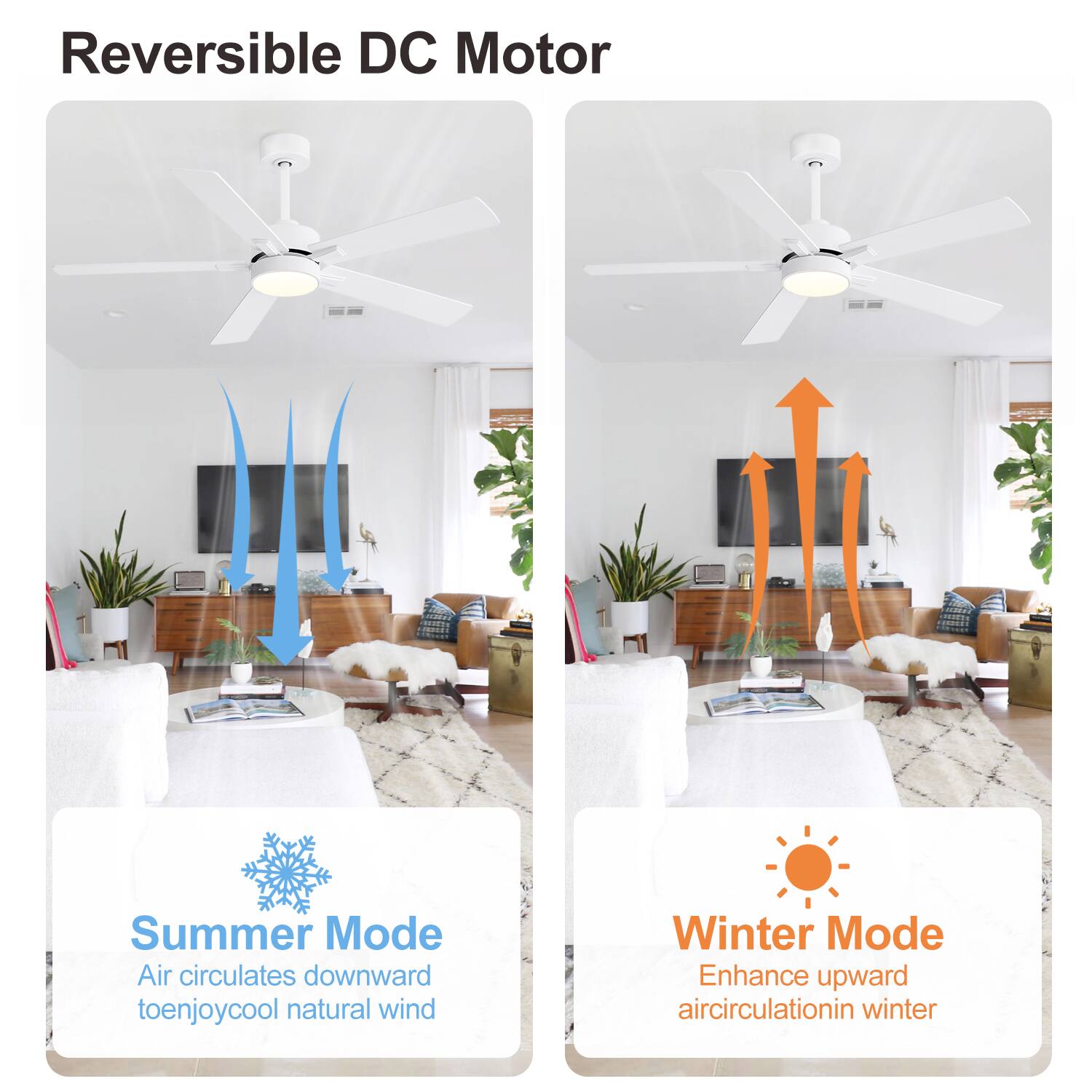 Reversible DC Motor

Summer Mode  
Air circulates downward to enjoy cool natural wind

Winter Mode  
Enhance upward air circulation in winter