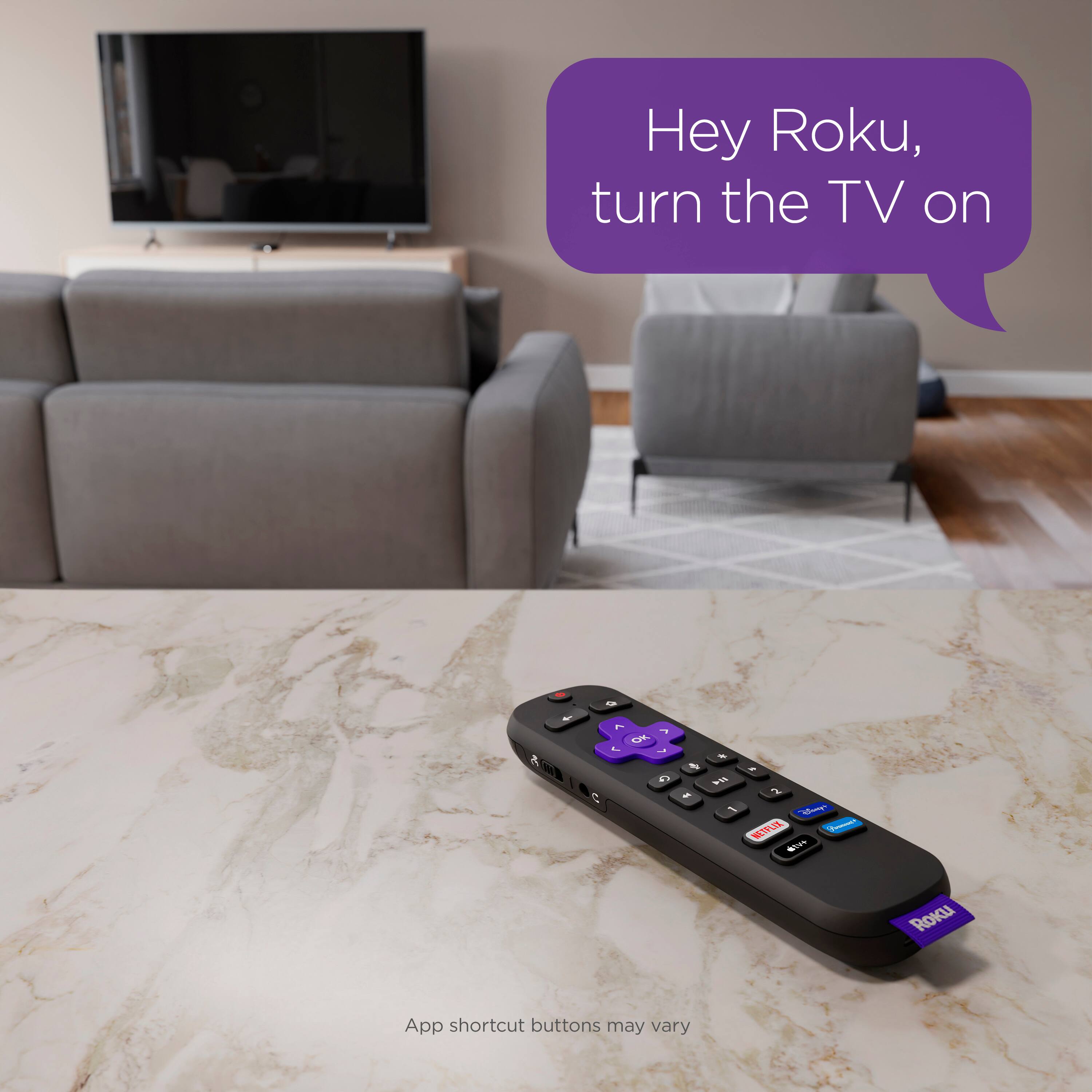 Hey Roku, turn the TV on.