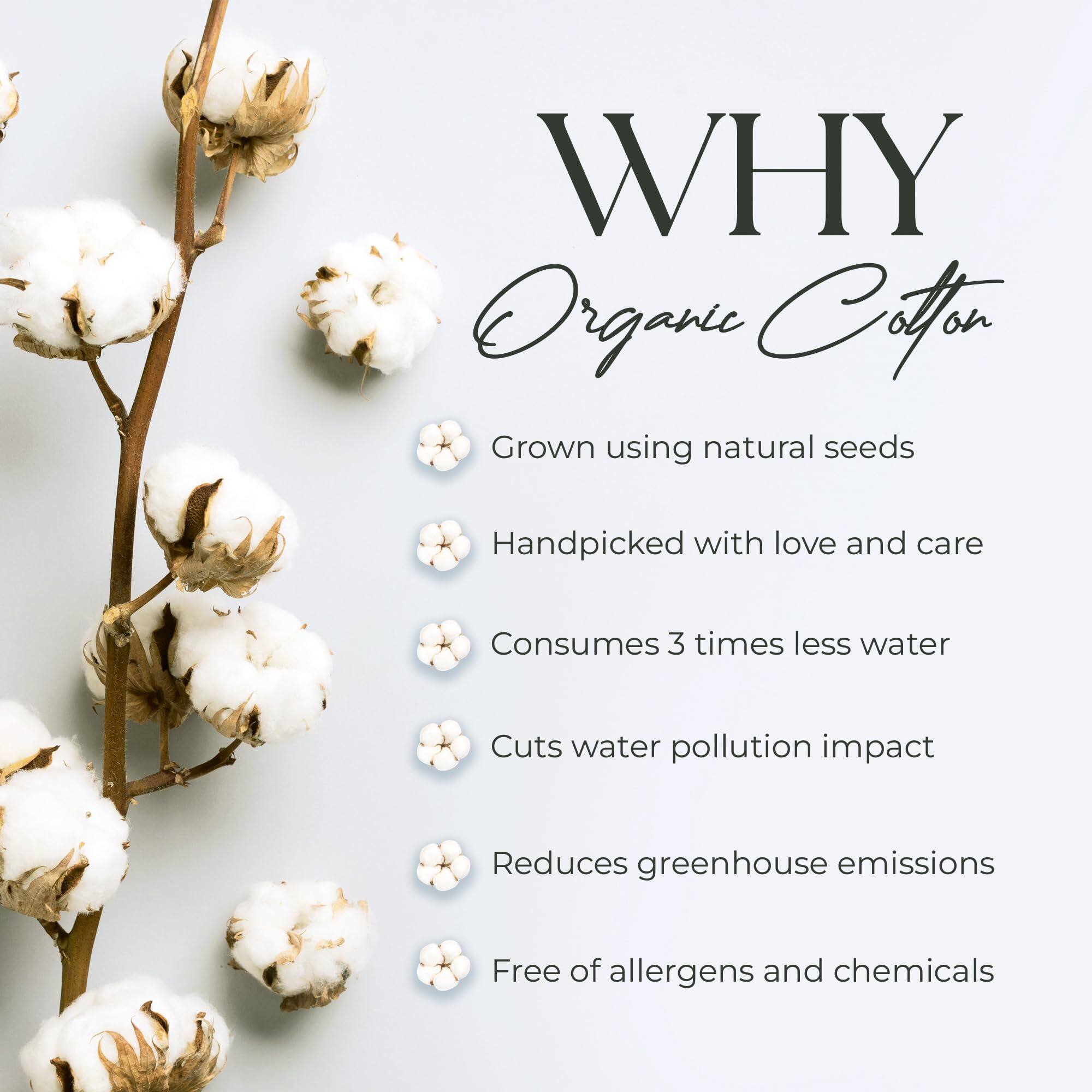 WHY Organic Cotton

- Grown using natural seeds
- Handpicked with love and care
- Consumes 3 times less water
- Cuts water pollution impact
- Reduces greenhouse emissions
- Free of allergens and chemicals
