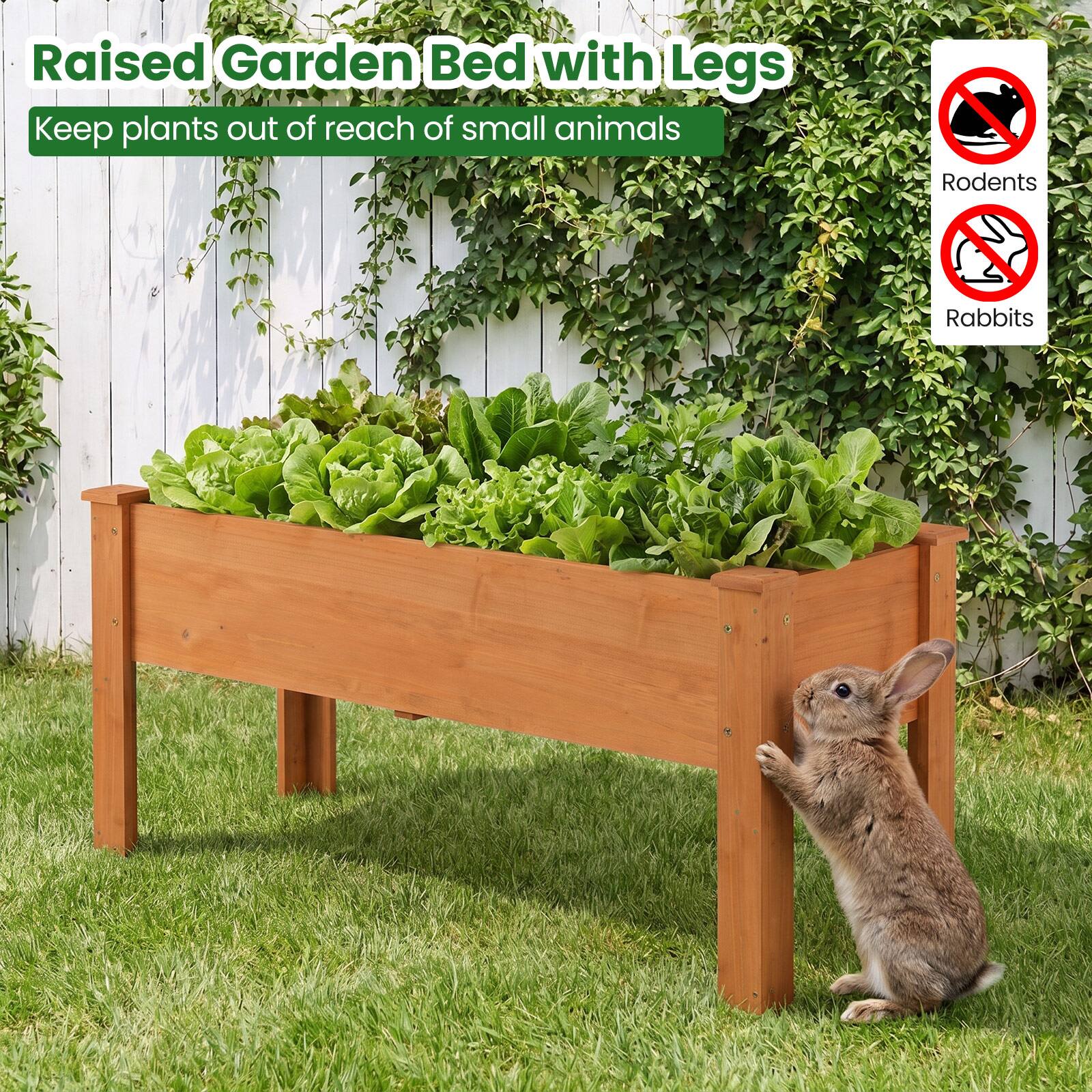 Raised Garden Bed with Legs  
Keep plants out of reach of small animals  
Rodents  
Rabbits