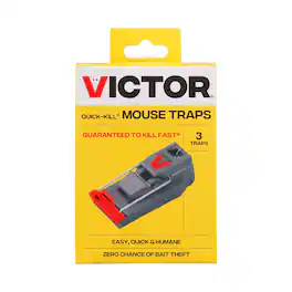 Quick-Kill Small Snap Trap For Mice 3 pk