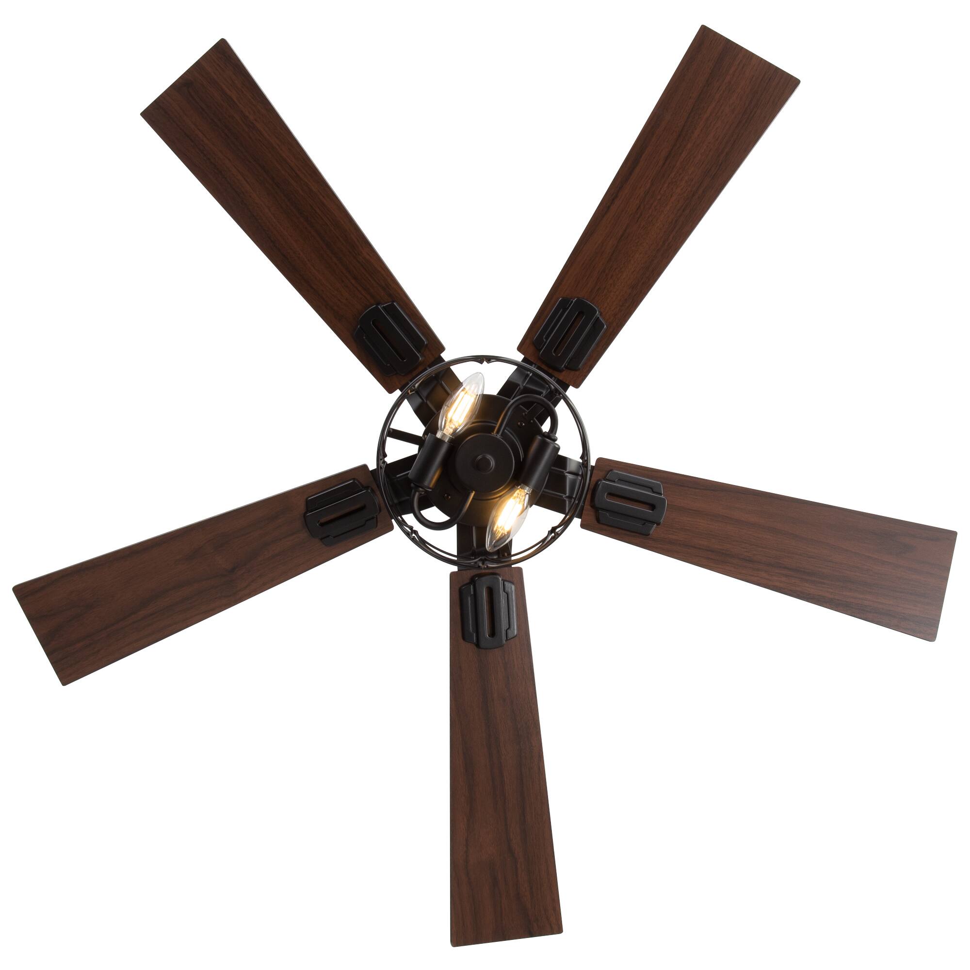 There is no text in the image.