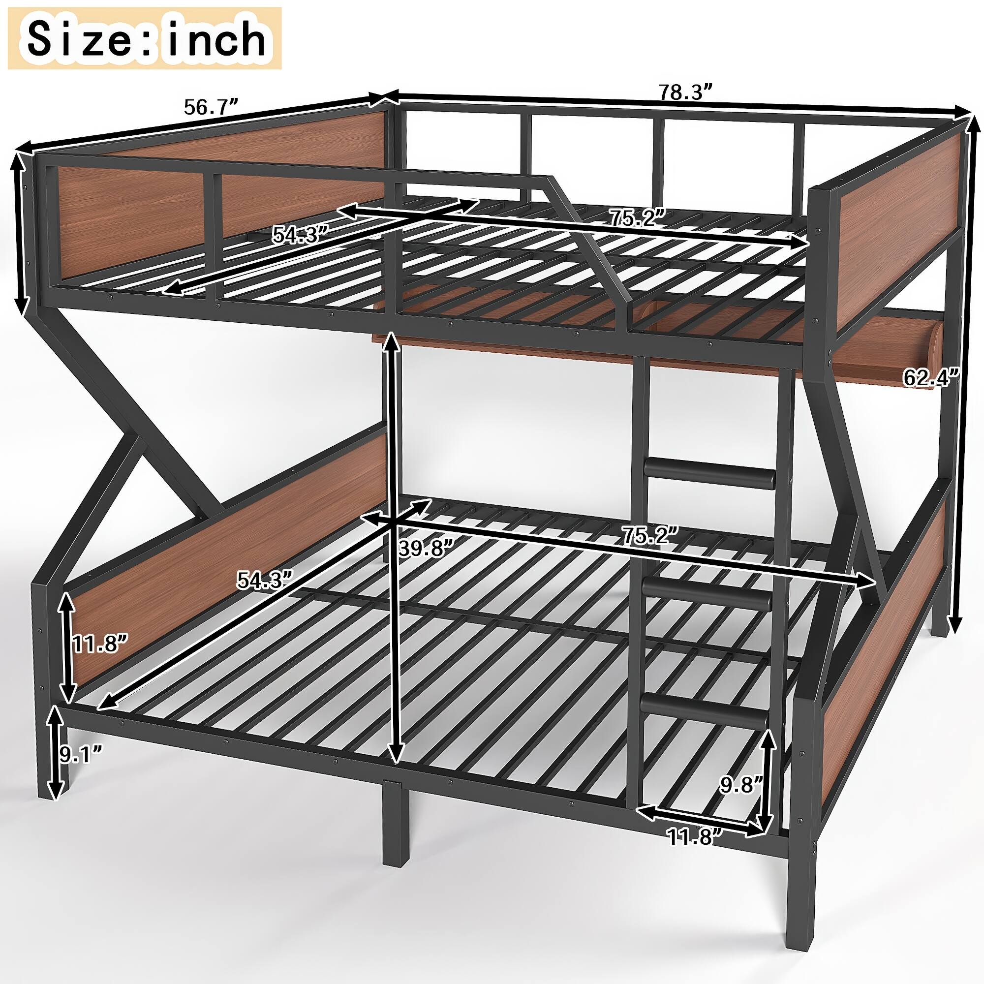Size: in inch  
56.7"  
78.3"  
54.3"  
75.2"  
62.4"  
54.3"  
39.8"  
75.2"  
11.8"  
9.1"  
9.8"  
11.8"