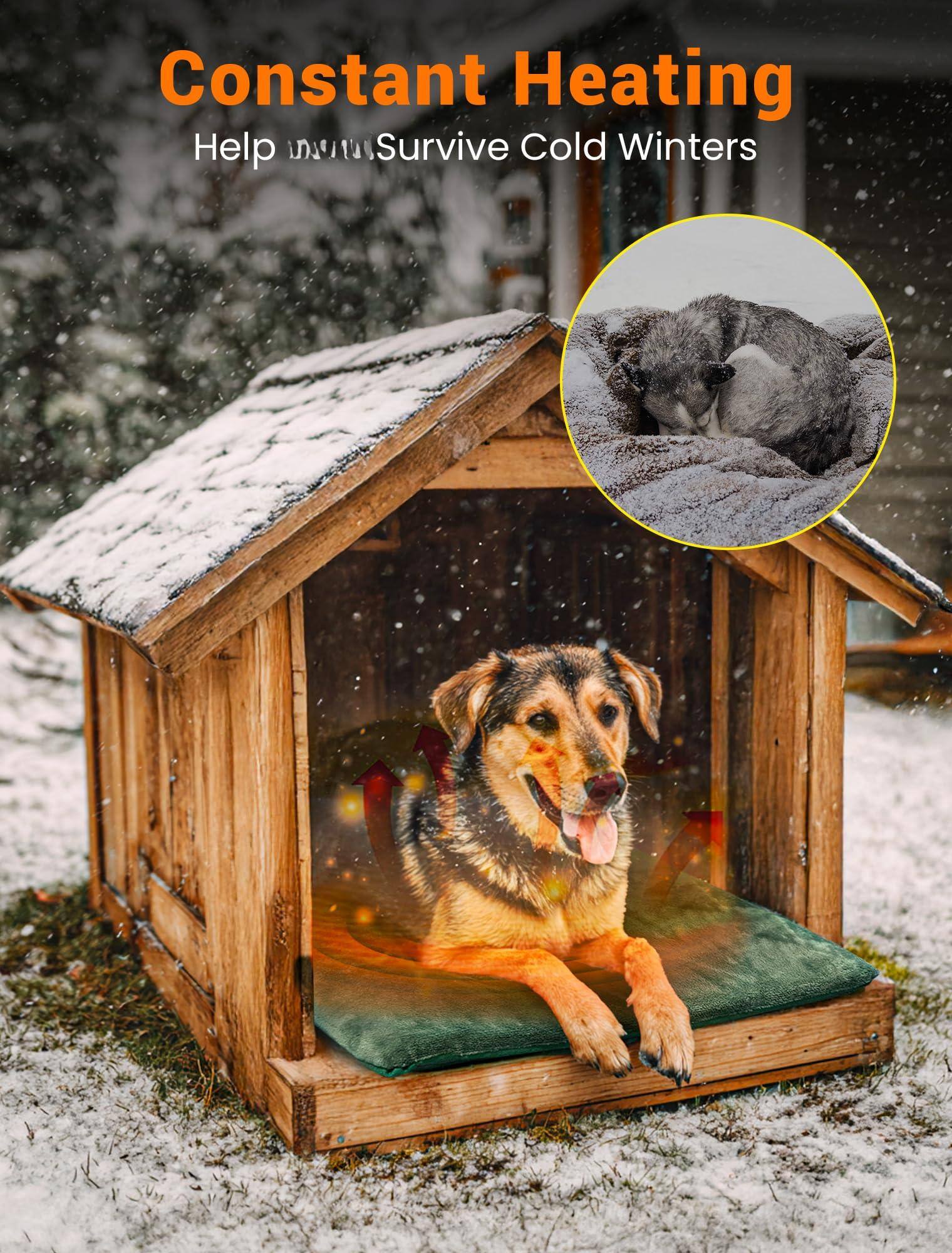 Constant Heating  
Help Animals Survive Cold Winters