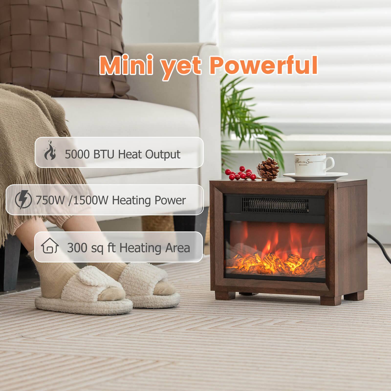 Mini yet Powerful

- 5000 BTU Heat Output
- 750W / 1500W Heating Power
- 300 sq ft Heating Area