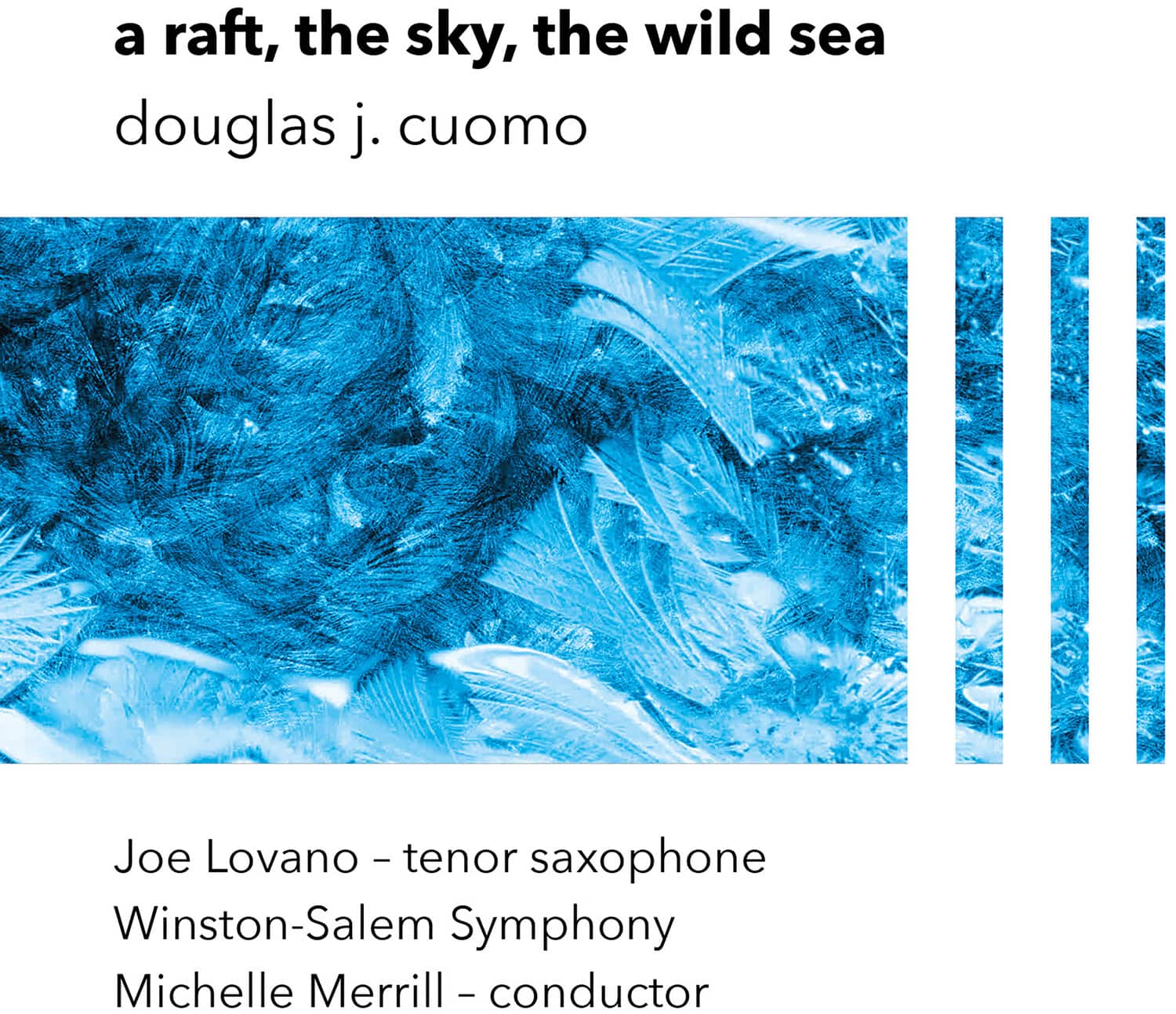 Joe Lovano - A Raft, the Sky, the Wild Sea   - VINYL LP