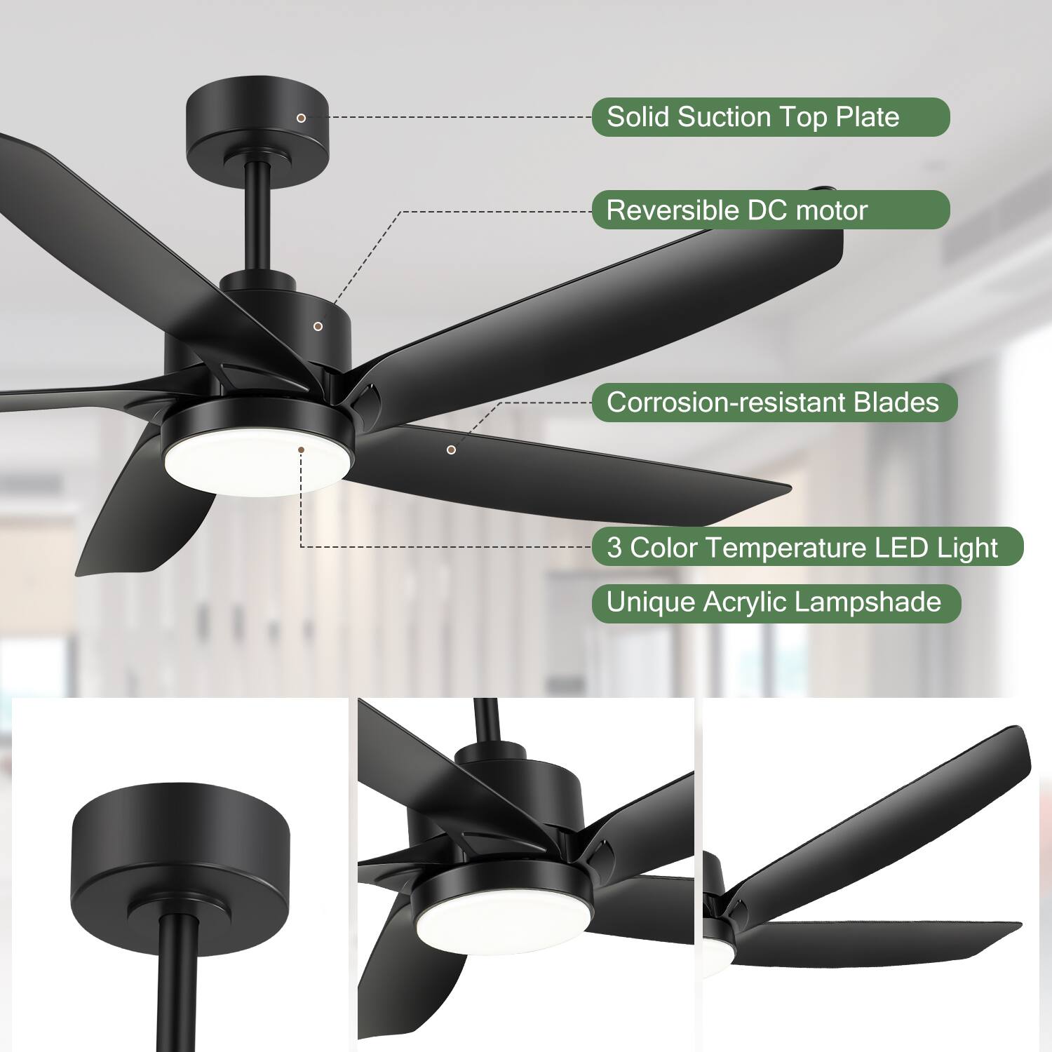 - Solid Suction Top Plate
- Reversible DC motor
- Corrosion-resistant Blades
- 3 Color Temperature LED Light
- Unique Acrylic Lampshade