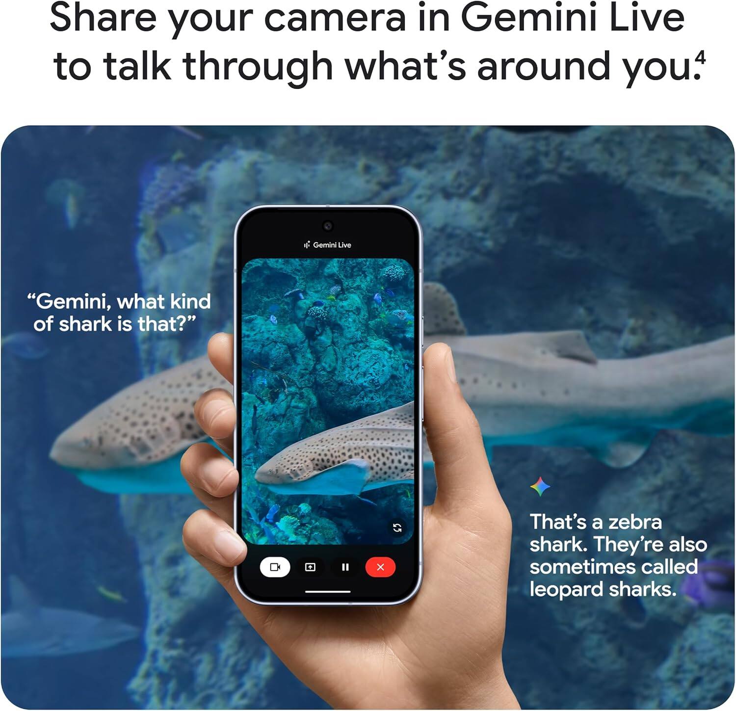 Share your camera in Gemini Live to talk through what's around you.  
Gemini Live  
"Gemini, what kind of shark is that?"  
That's a zebra shark. They're also sometimes called leopard sharks.