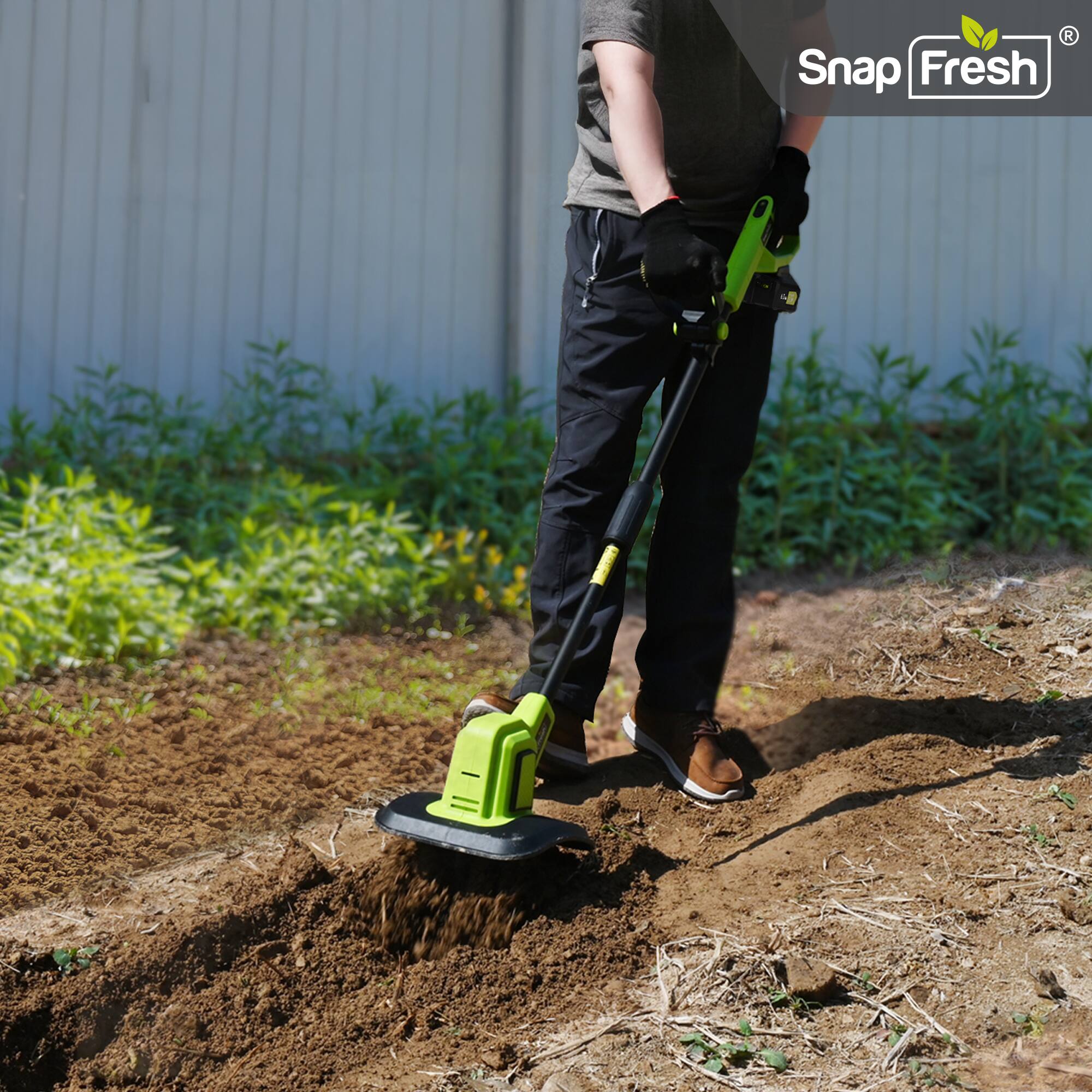 Snap Fresh