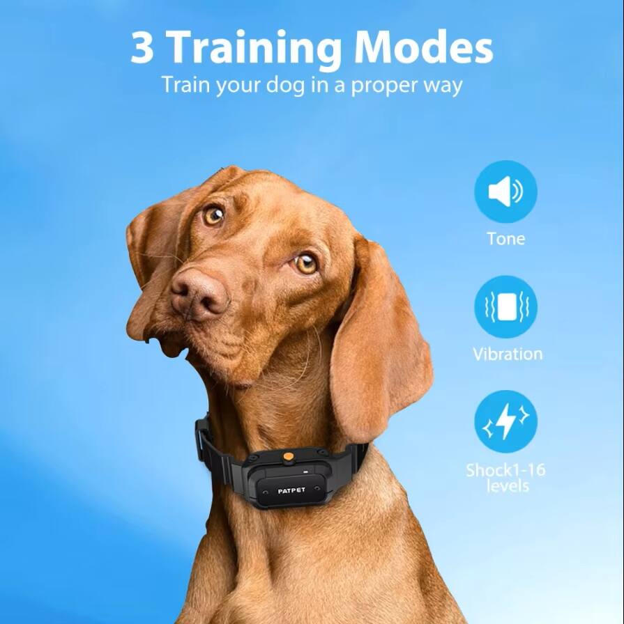 3 Training Modes  
Train your dog in a proper way  

- Tone  
- Vibration  
- Shock 1-16 levels