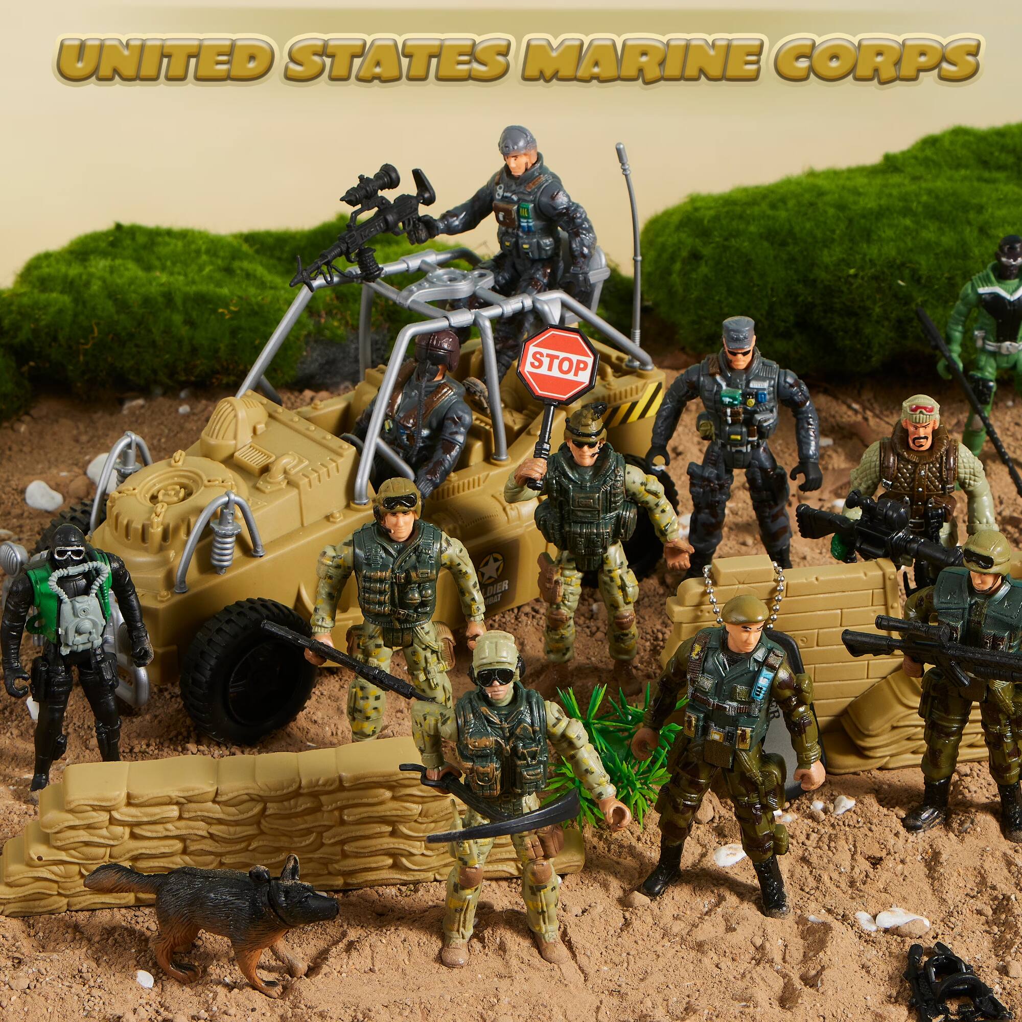 UNITED STATES MARINE CORPS