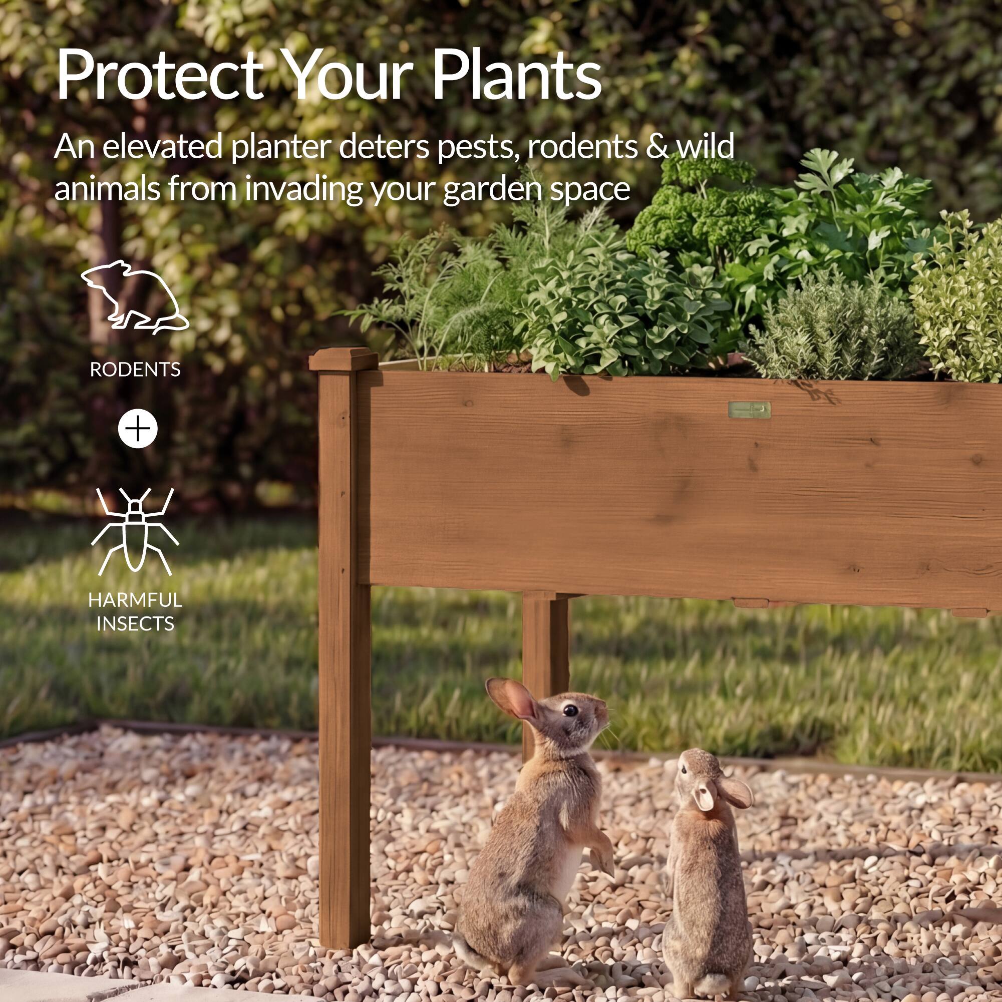 Protect Your Plants

An elevated planter deters pests, rodents & wild animals from invading your garden space

RODENTS + HARMFUL INSECTS