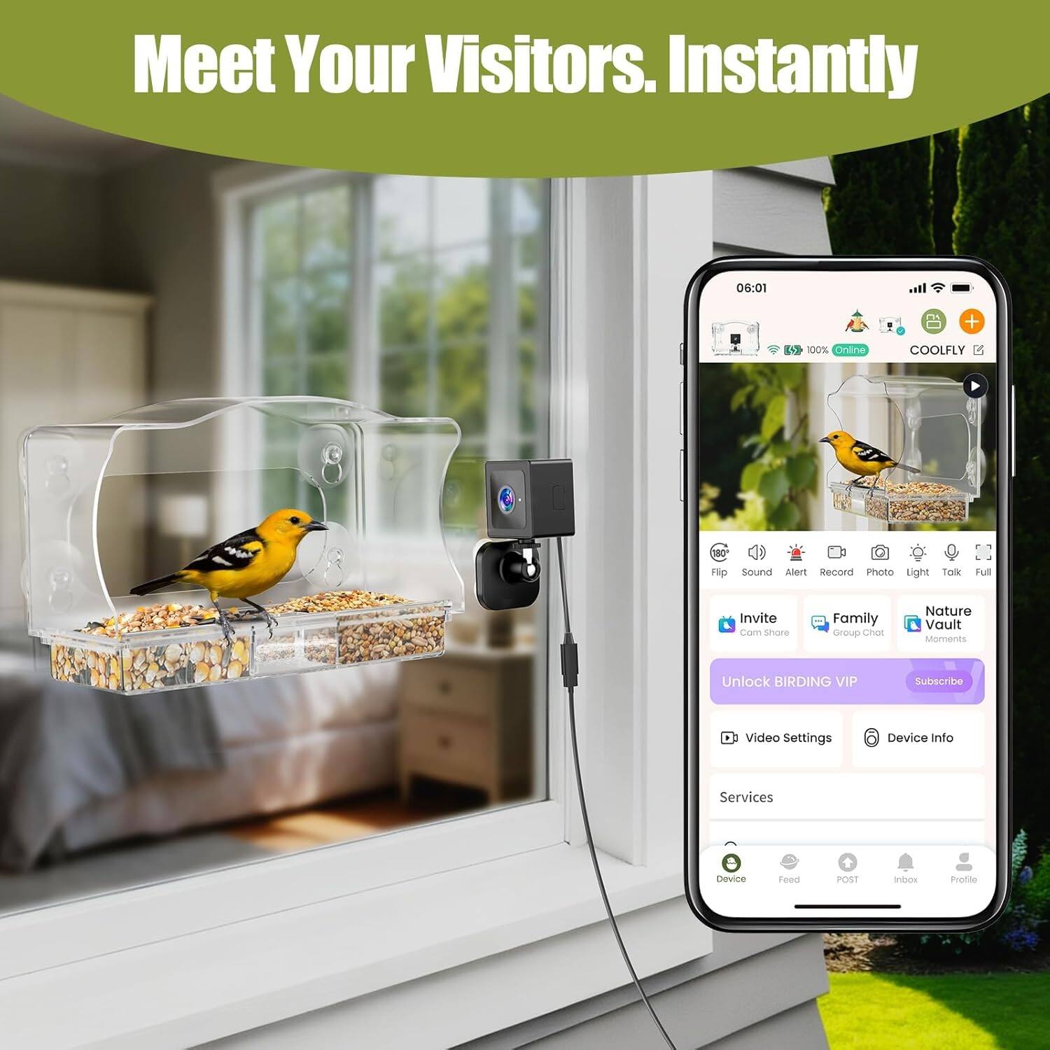Meet Your Visitors. Instantly

06:01  
100% Online  
COOLFLY

Invite  
Family Group Chat  
Nature Vault Moments  
Unlock BIRDING VIP  
Subscribe

Video Settings  
Device Info  
Services

Device  
Feed  
POST  
Inbox  
Profile