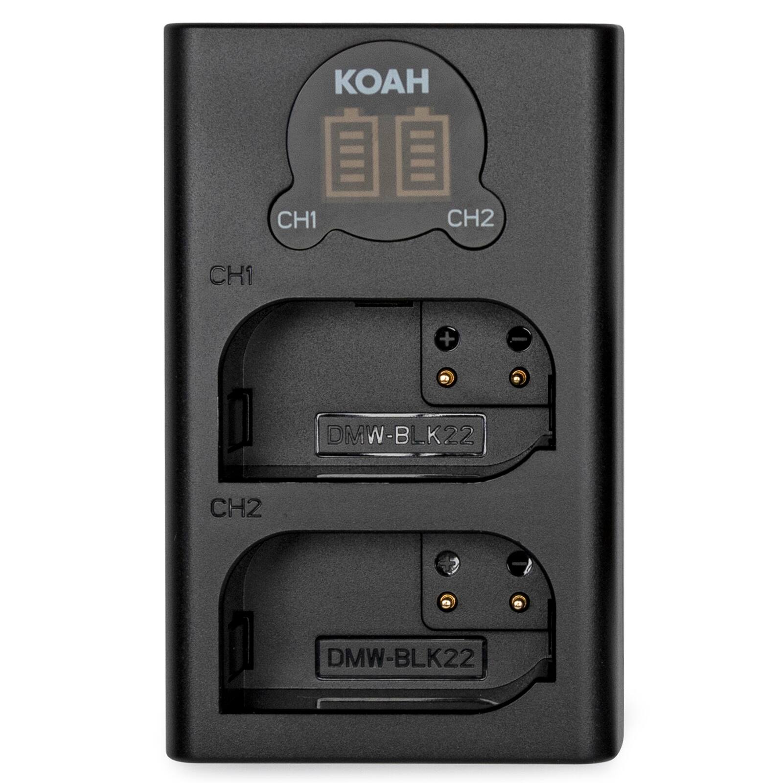 The text on the image reads "CH1 CH2 CH1 + - DMW-BLK22 CH2 DMW-BLK22." This text is grouped and corrected as follows:

"CH1 CH2 CH1 + - DMW-BLK22 CH2 DMW-BLK22"

"CH1 CH2 CH1 + - DMW-BLK22 CH2 DMW-BLK22"

"CH1 CH2 CH1 + - DMW-BLK22 CH2 DMW-BLK22"

"CH1 CH2 CH1 + - DMW-BLK22 CH2 DMW-BLK22"