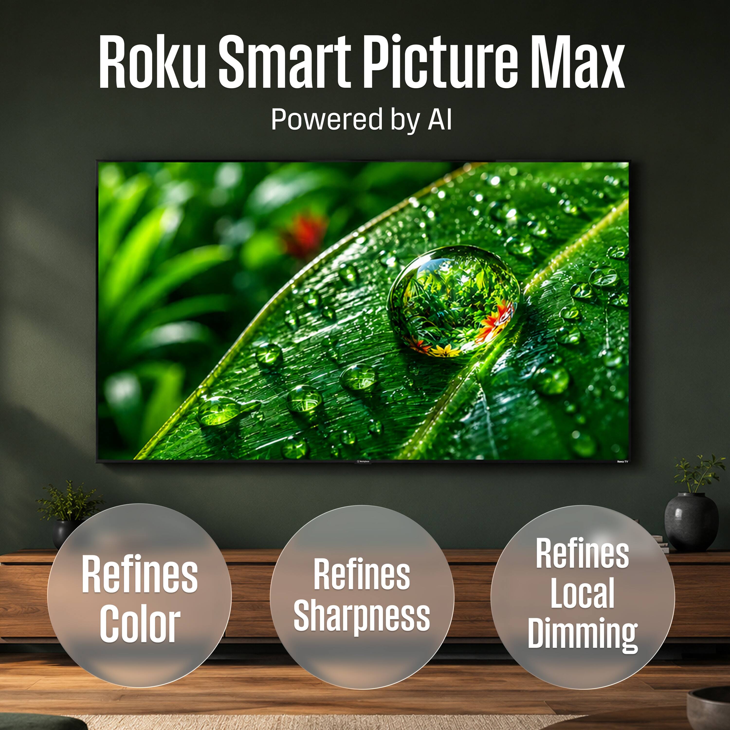 Roku Smart Picture Max  
Powered by AI  

Refines Color  
Refines Sharpness  
Refines Local Dimming