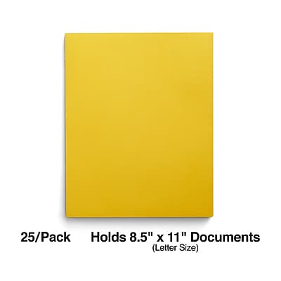 25/Pack  
Holds 8.5" x 11" Documents (Letter Size)