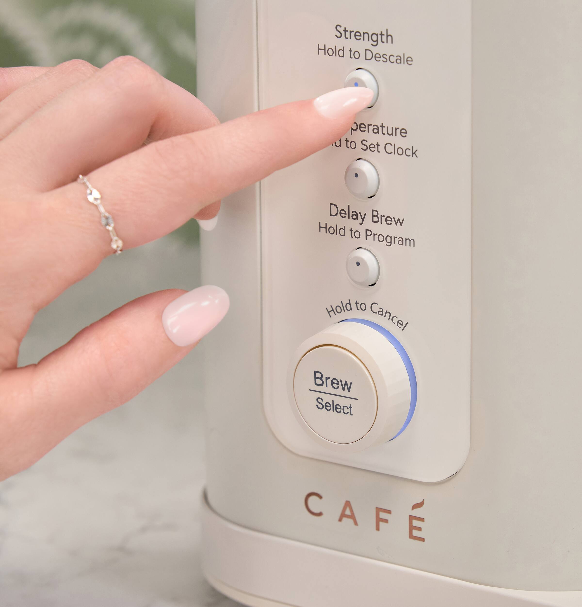 Strength  
Hold to Descale  

Temperature  
Hold to Set Clock  

Delay Brew  
Hold to Program  

Hold to Cancel  

Brew Select  

CAFÉ