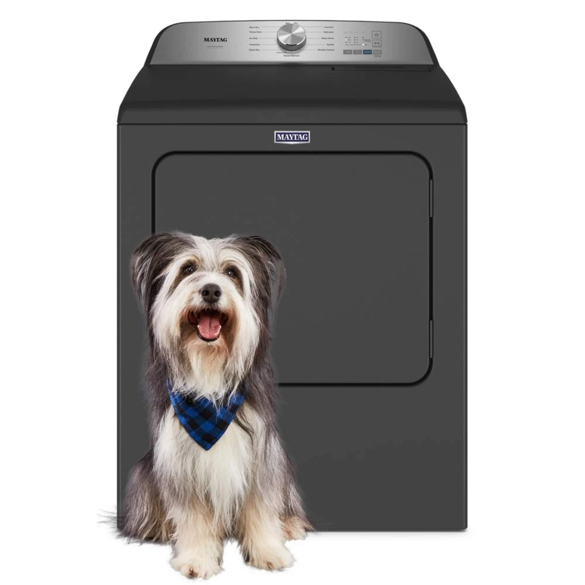 Maytag – 7.0 Cu. Ft. Gas Dryer with Steam and Pet Pro System – Volcano Black