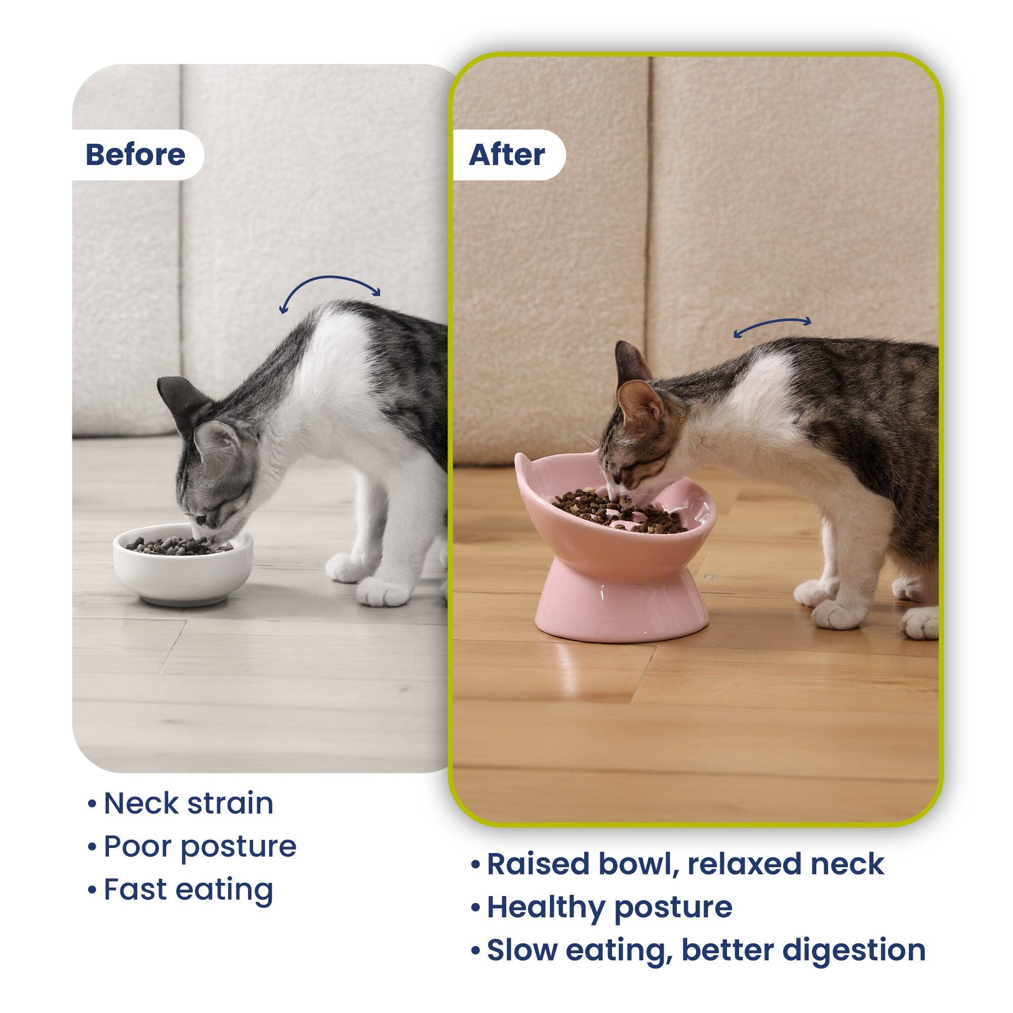 Before
After
Neck strain Poor posture Fast eating
Raised bowl, relaxed neck Healthy posture Slow eating, better digestion