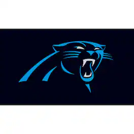 Evergreen Enterprises - Carolina Panthers 28" x 16" Turf Mat - Multicolor