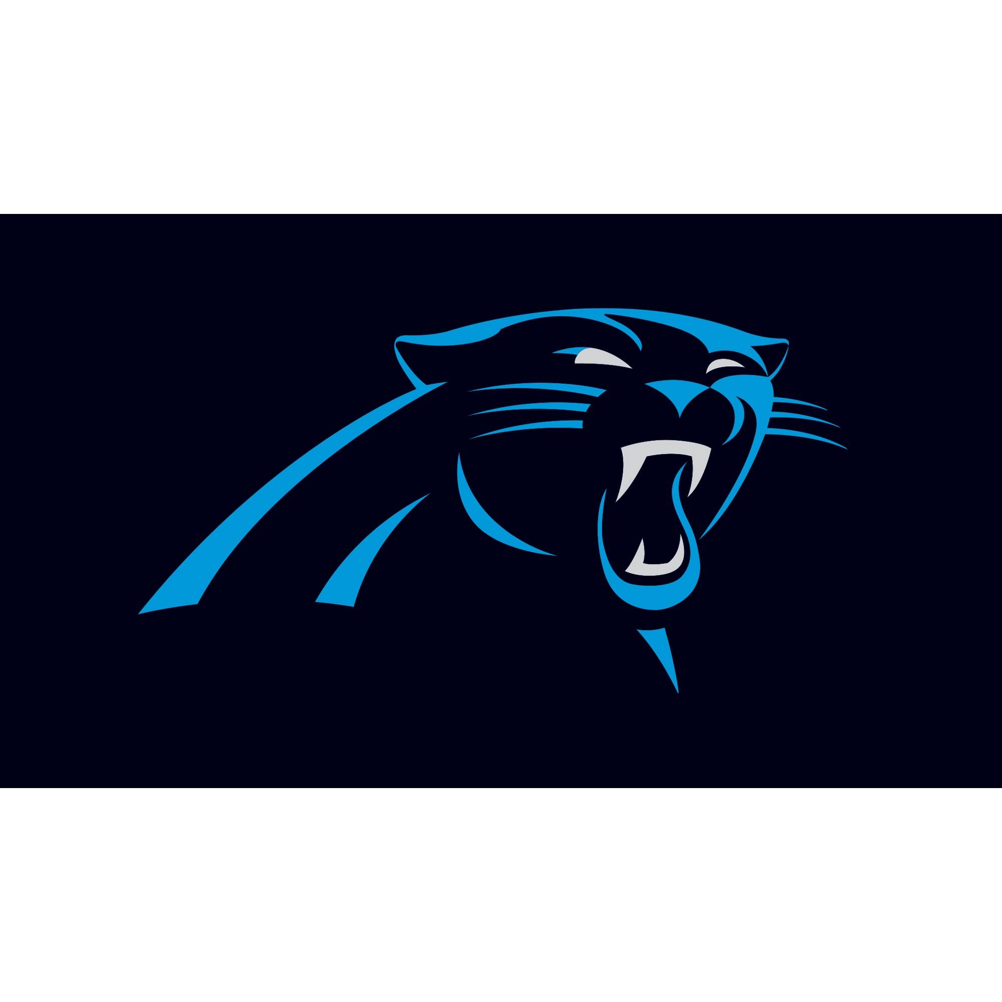Front. Evergreen Enterprises - Carolina Panthers 28" x 16" Turf Mat - Multicolor.