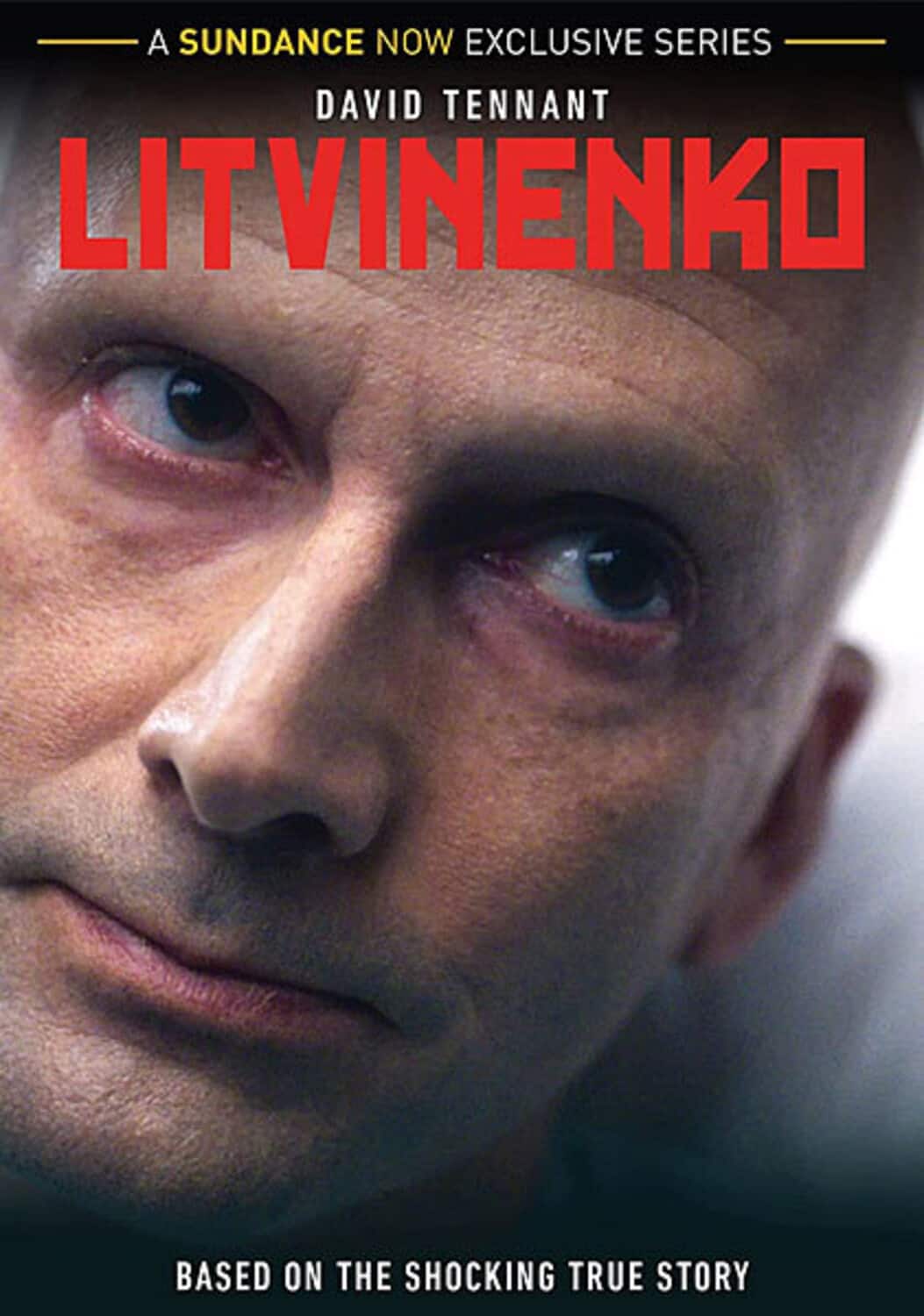 Litvinenko  - DVD