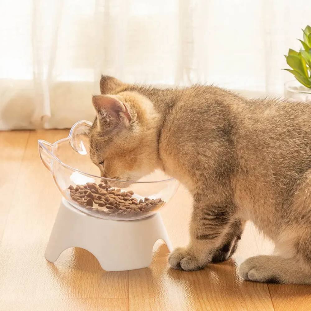 Alt View 1. Ficcuss Pets - Raised Stand Transparent Pet Feeding Bowl - Transparent, White.