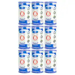 Intex - Easy Set Type B Replacement Filter Cartridge for Swimming Pools (9 Pack)