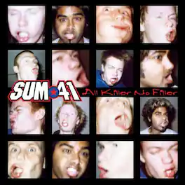 Sum 41 - All Killer No Filler - VINYL LP