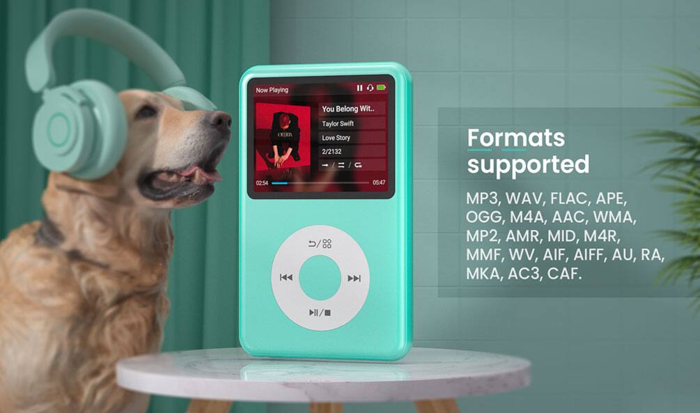 Now Playing
II
You Belong Wit..
02:54
Taylor Swift Love Story 2/2132
05:47

Formats supported
MP3, WAV, FLAC, APE, OGG, M4A, AAC, WMA, MP2, AMR, MID, M4R, MMF, WV, AIF, AIFF, AU, RA, MKA, AC3, CAF.