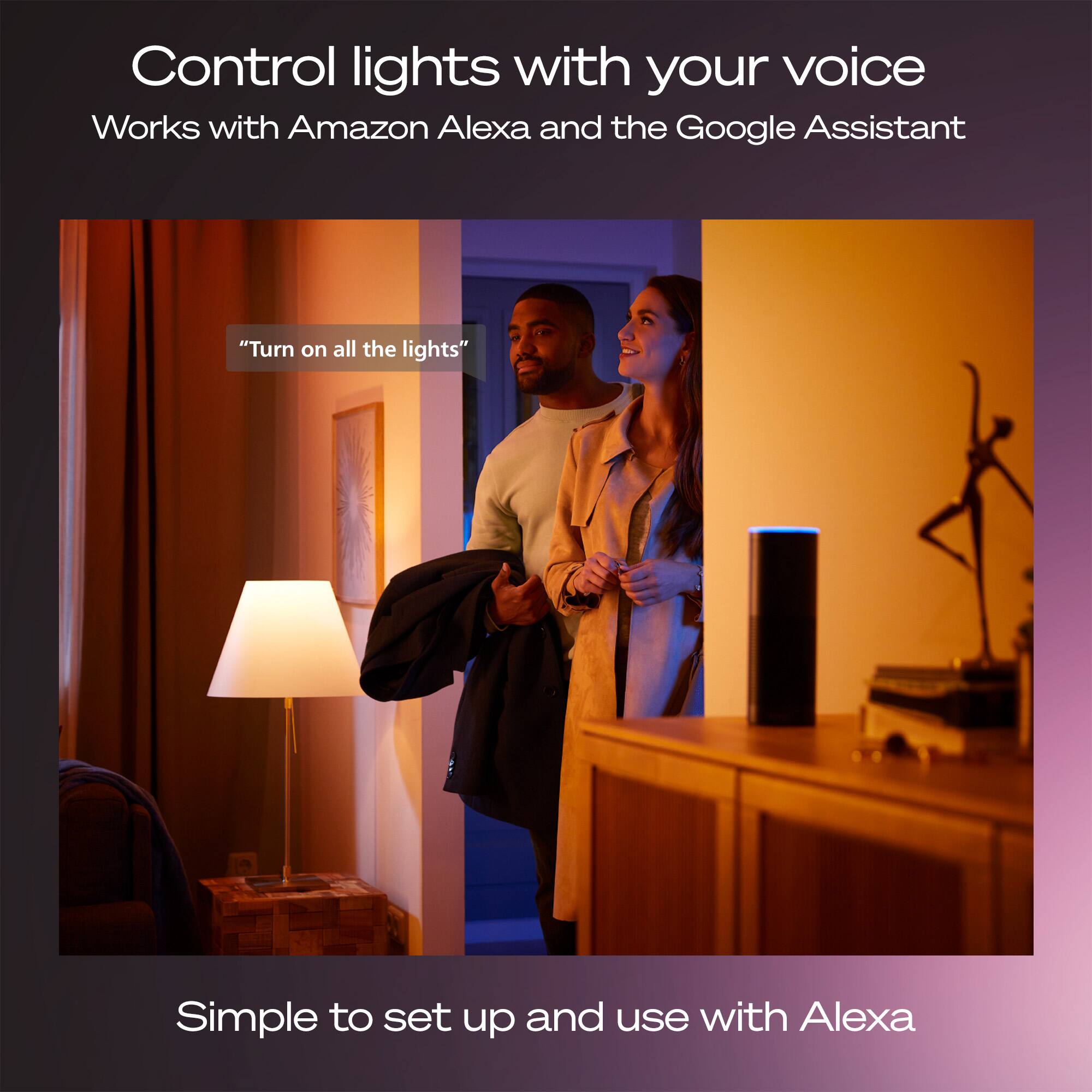 Control lights with your voice  
Works with Amazon Alexa and the Google Assistant  

"Turn on all the lights"  

Simple to set up and use with Alexa
