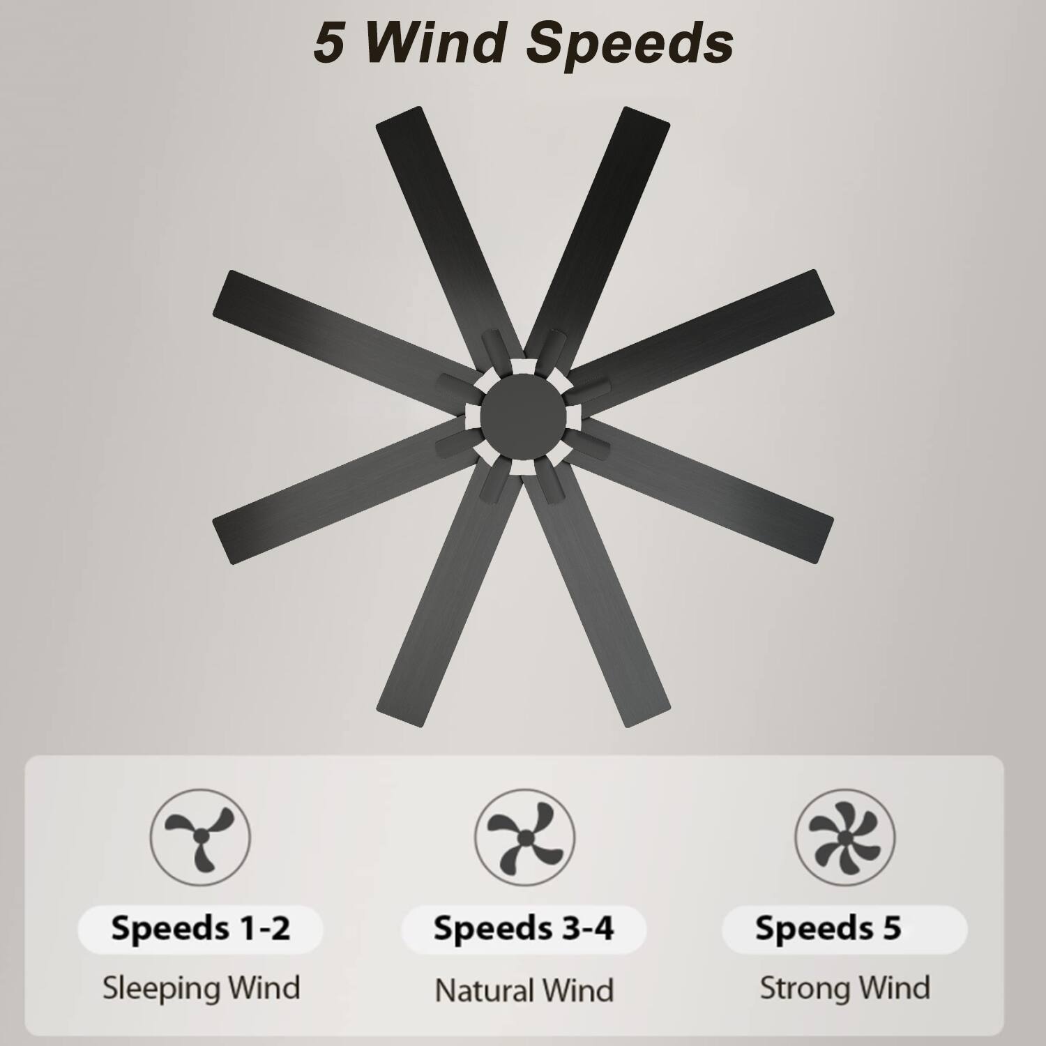 5 Wind Speeds
Speeds 1-2 Sleeping Wind
Speeds 3-4 Natural Wind
Speeds 5 Strong Wind