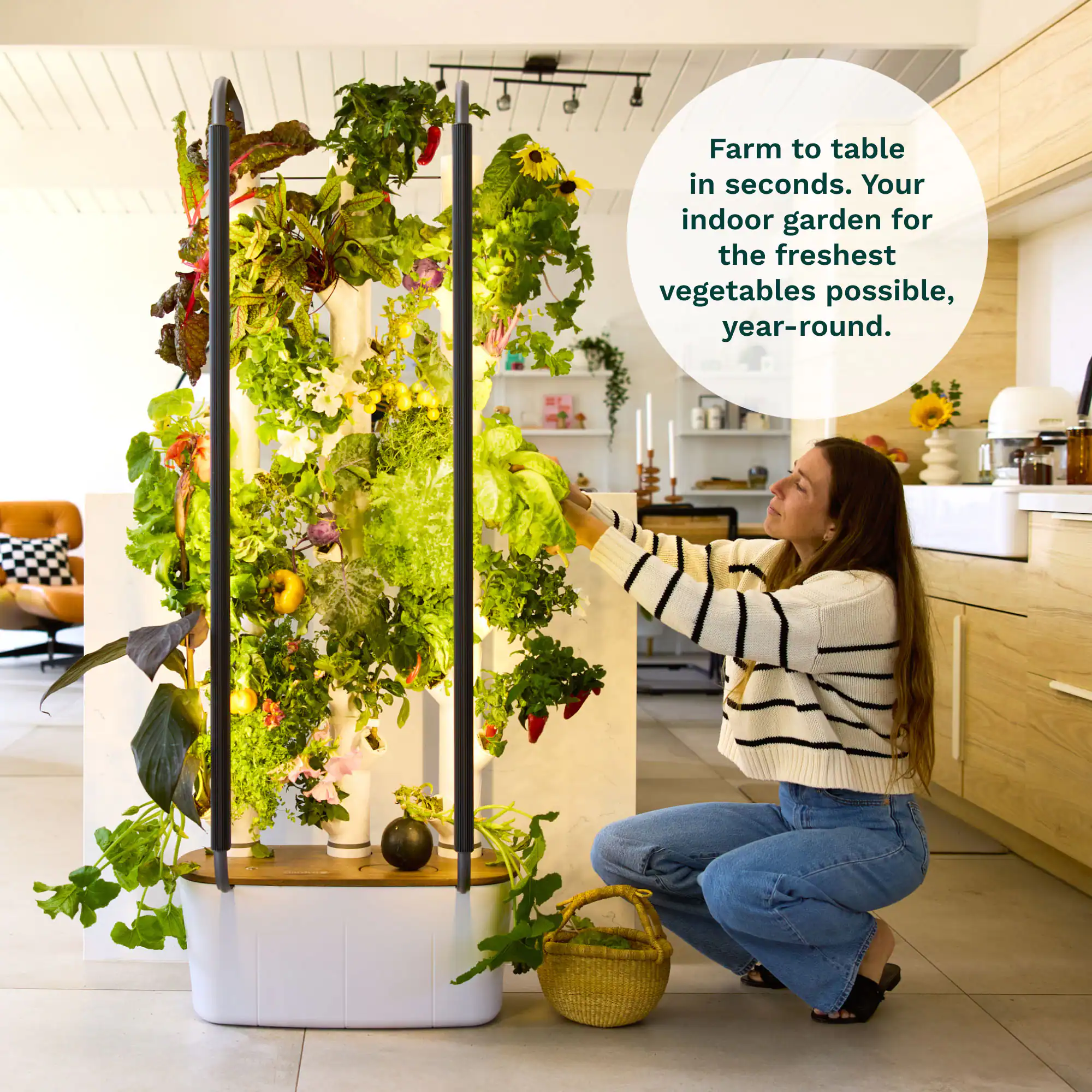 Farm to table in seconds. Your indoor garden for the freshest vegetables possible, year-round.