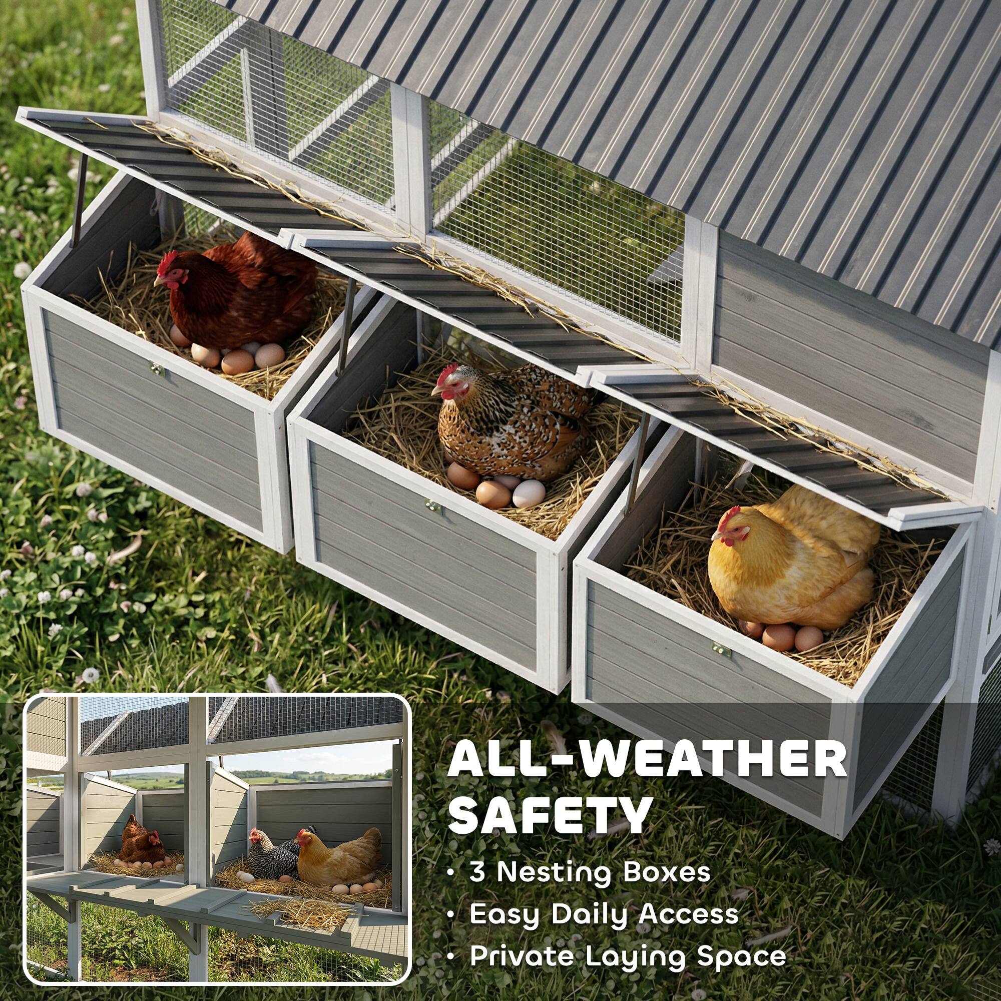 ALL-WEATHER SAFETY  
3 Nesting Boxes  
Easy Daily Access  
Private Laying Space