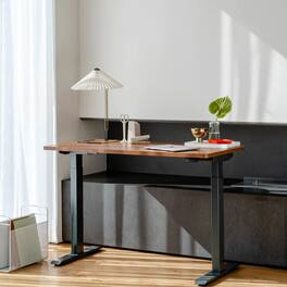 Branch Furniture - Duo Standing Desk 48" – Adjustable Desk with OLED Control Panel, Frameless Design & Compact Footprint - Walnut / Charcoal