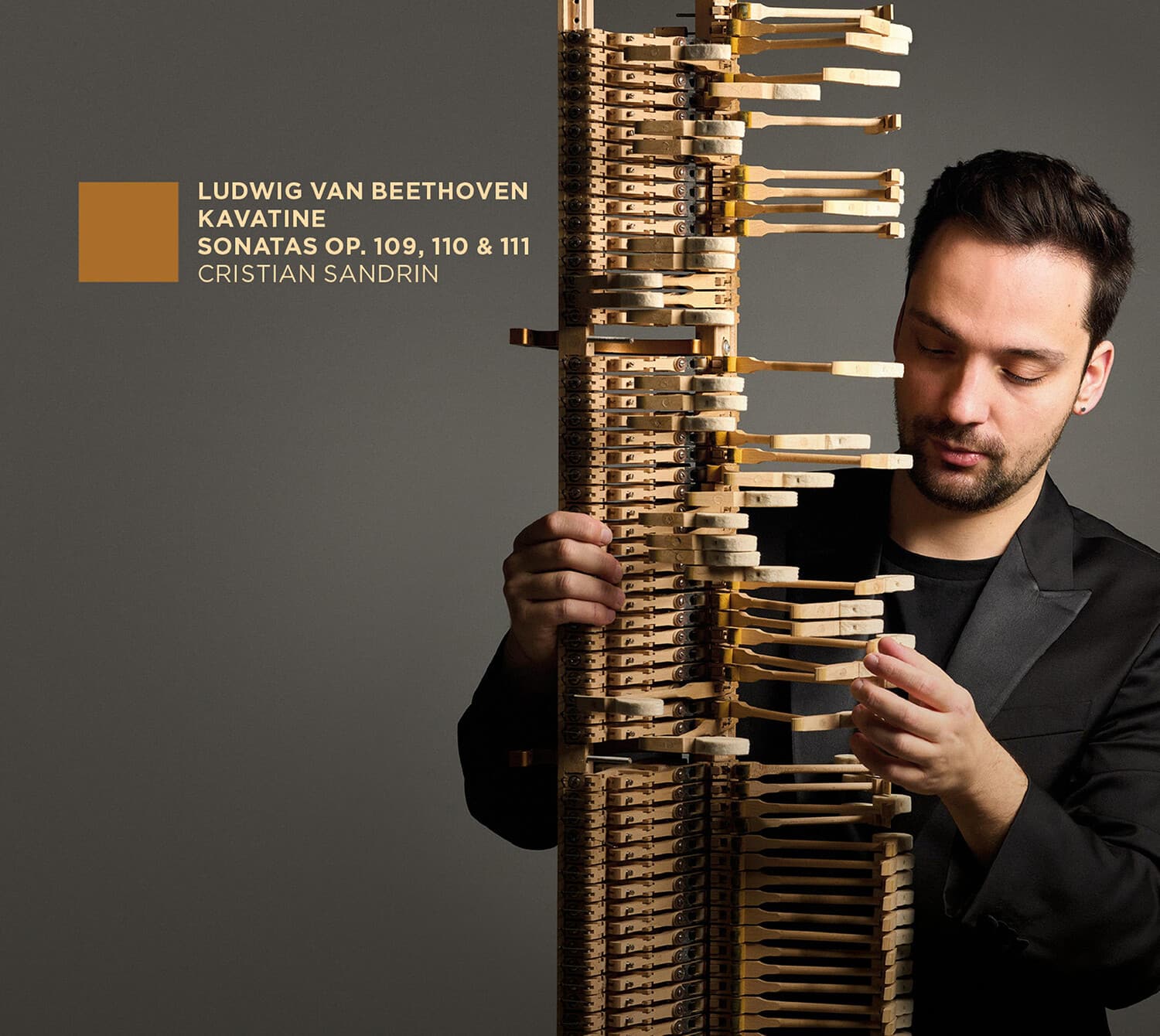 Cristian Sandrin - Beethoven: Kavatine - Sonates, Op. 109, 110 & 111  - COMPACT DISCS