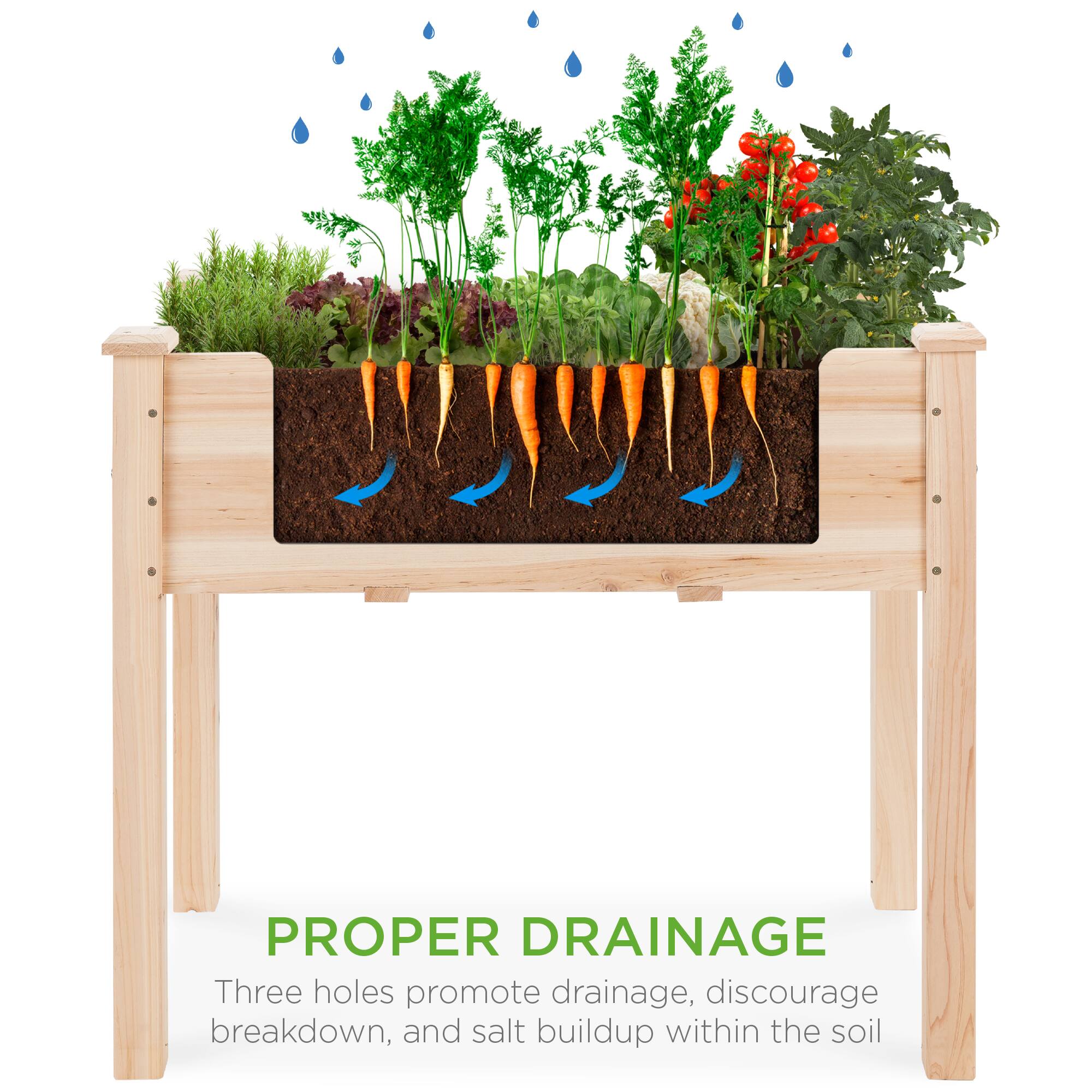 PROPER DRAINAGE

Three holes promote drainage, discourage breakdown, and salt buildup within the soil